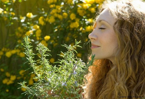 Loss of Smell for Peppermint and Coconut Oil: A Potential COVID-19 Warning Sign from Recent Study