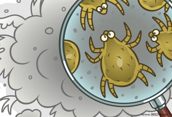 4 Expert Strategies to Eliminate Dust Mite Allergies at Home