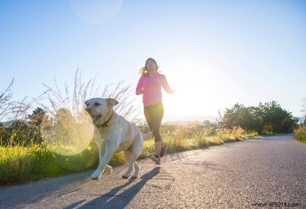Can Morning Sunlight Help You Manage Your Weight? Insights from Recent Research
