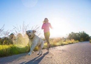 Can Morning Sunlight Help You Manage Your Weight? Insights from Recent Research