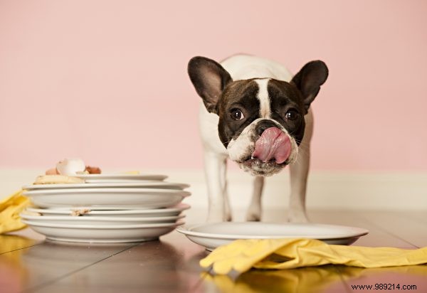 Why You Don t Need to Clean Your Plate Every Meal: Embrace Intuitive Eating