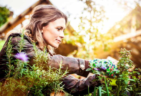 Easiest Vegetables for Beginners: 5 Foolproof Choices to Start Your Garden