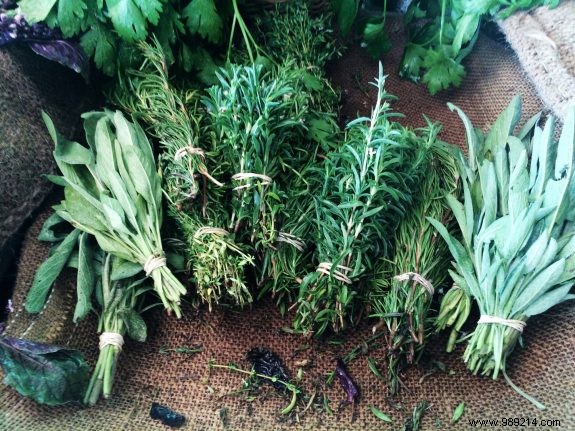Don t Waste Leftover Herbs: Expert Tips for Freezing and Drying to Keep Them Fresh