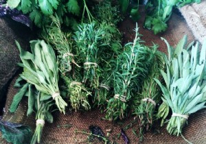 Don t Waste Leftover Herbs: Expert Tips for Freezing and Drying to Keep Them Fresh