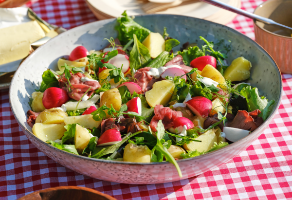 Refreshing Opperdoezer Potato Summer Salad with Roast Beef – BBQ Essential