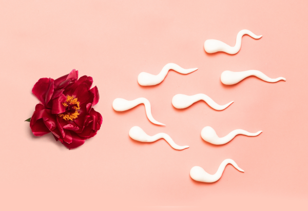 University of Utah Scientists Advance Male Contraception with New Hormonal Gel Trial