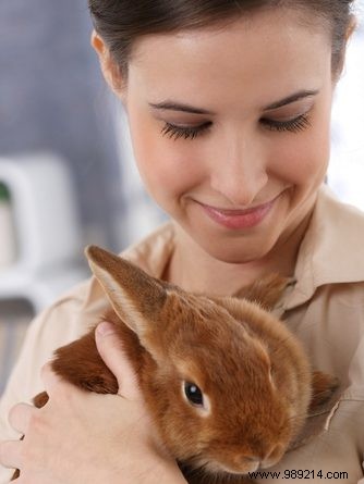 Pioneering Cruelty-Free Cosmetics: EU Ban Sparks Change in China