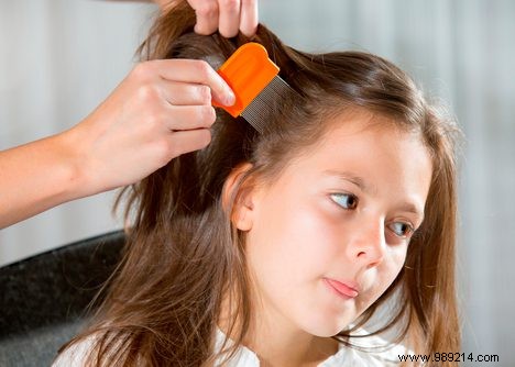Research Reveals: Hairspray and Gel Can Significantly Cut Head Lice Risk