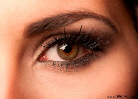 5 Essential Facts About Eyelashes: Protection, Growth, and More