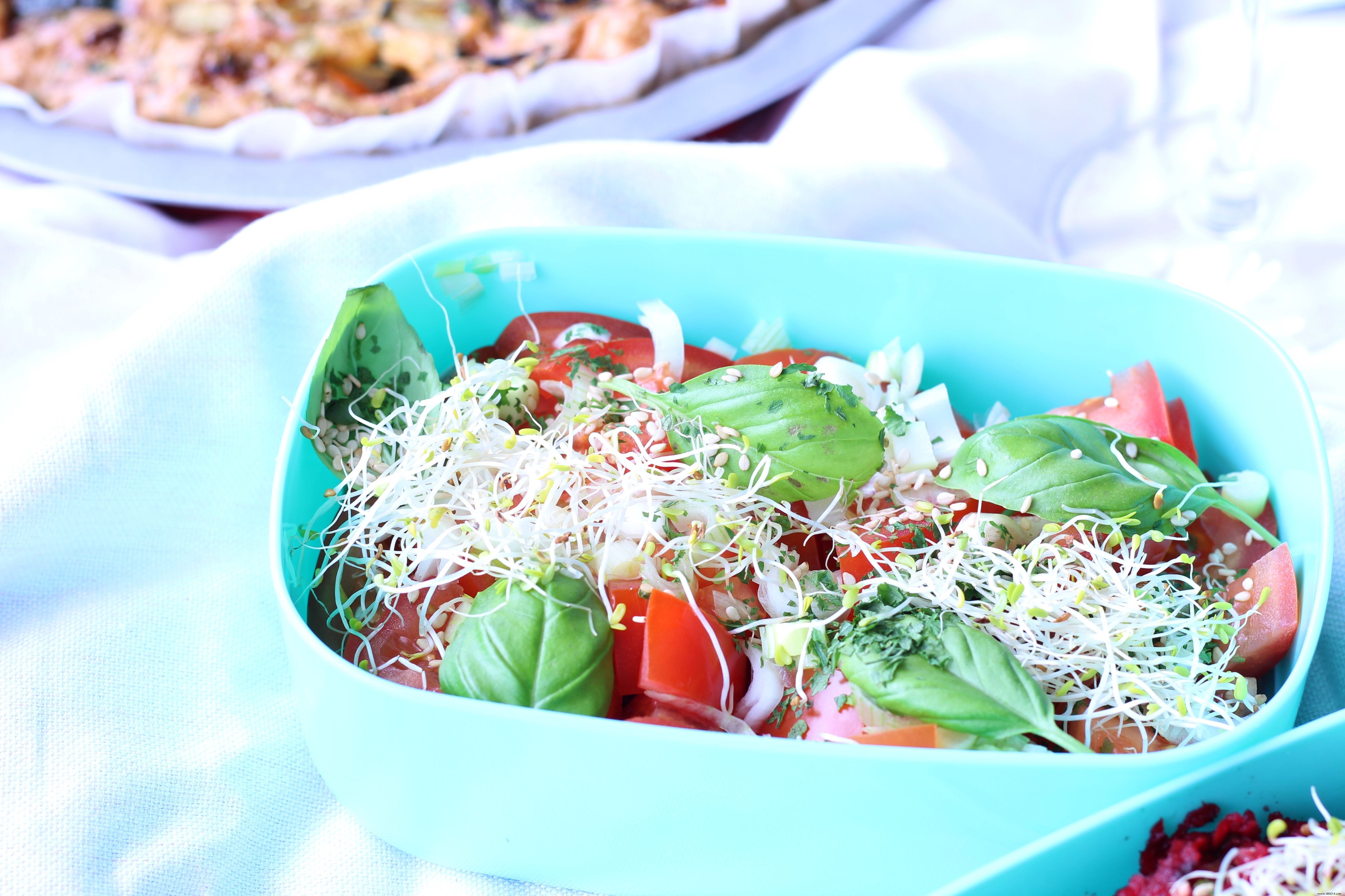 Chic Paris Picnic: Gluten-Free & Lactose-Free Vegetable Pie Recipe