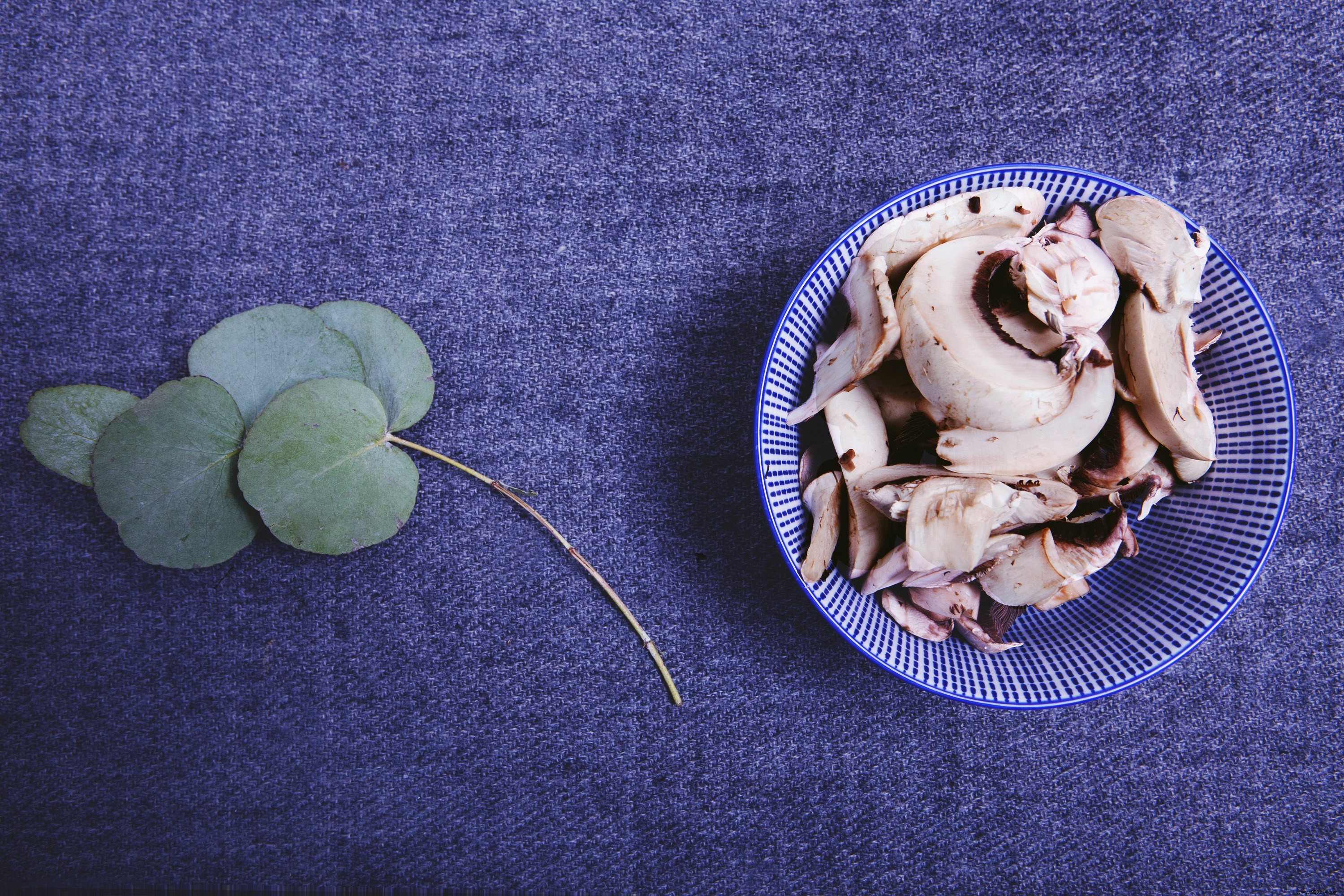 Blanquette-Style Veal Tenderloin with Schär Gluten-Free Gnocchi: A French-Italian Fusion Recipe