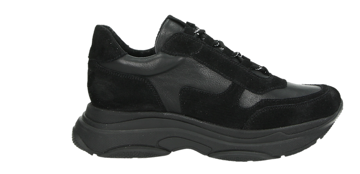 Nelson by Moderosa: Exclusive Capsule Collection of Must-Have Fall Shoes