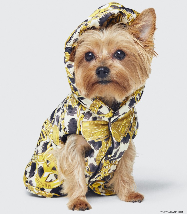 Moschino x H&M: Jeremy Scott s Playful Collection Blending Street Energy, Pop Culture, and Glamour