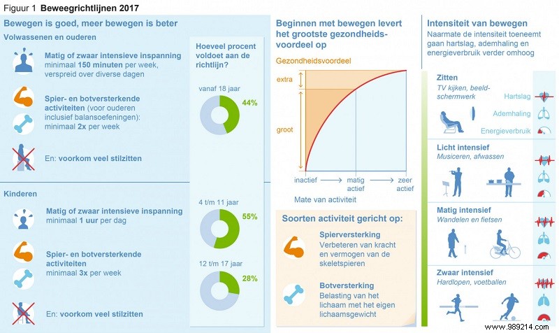 Official 2017 Dutch Health Council Exercise Guidelines for Lifelong Health