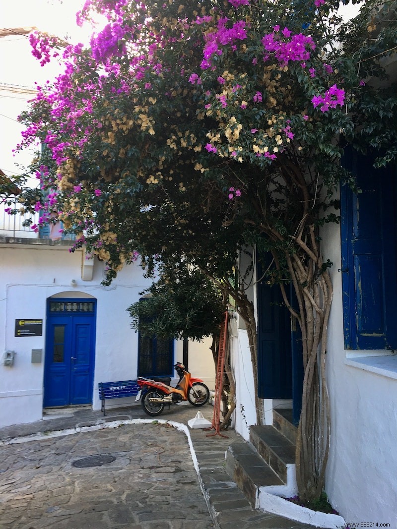 Unlock Longevity: Ikaria s Blue Zone Secrets from Greece s Island of Centenarians