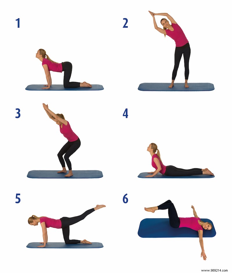 6 Proven Exercises to Build a Strong Back and Prevent Pain