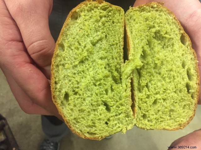 Netherlands First Cannabis Burger Debuts at Burgerbar Ter Marsch & Co