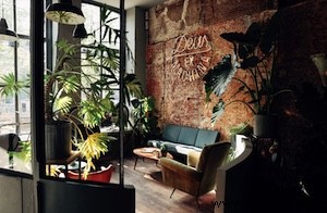 Discover 2020 s Hottest New Dining Hotspots in Amsterdam, Utrecht, and Rotterdam