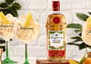 Master the Perfect Gin & Tonic: Pro Bartender s Recipe with Tanqueray