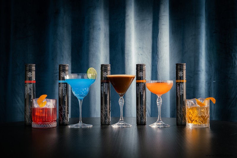 Lucas Bols Ready-to-Enjoy Cocktails: Premium Pre-Mixed Drinks for Effortless Home Bartending