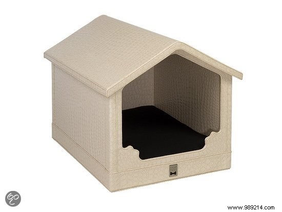 11 Stylish Dog Beds: Premium Comfort for Your Furry Friend