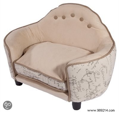 11 Stylish Dog Beds: Premium Comfort for Your Furry Friend