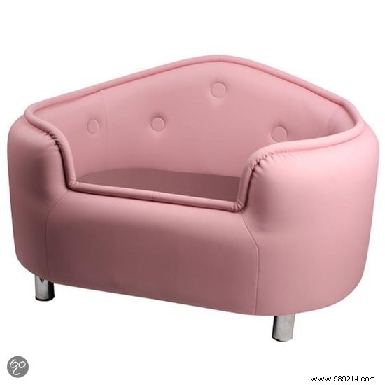 11 Stylish Dog Beds: Premium Comfort for Your Furry Friend