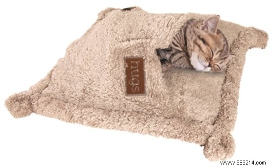 8 Festive Christmas Gift Ideas for Dogs and Cats