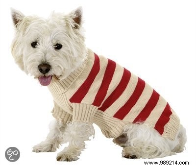 8 Festive Christmas Gift Ideas for Dogs and Cats