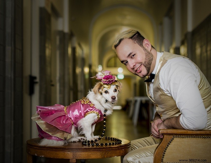 Dogs Dazzle on the Dogwalk in Roberto Negrin s Extravagant Couture