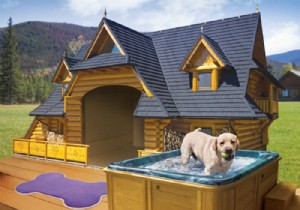 11 Stunning Dog Houses: Luxurious Backyard Retreats for Your Pet