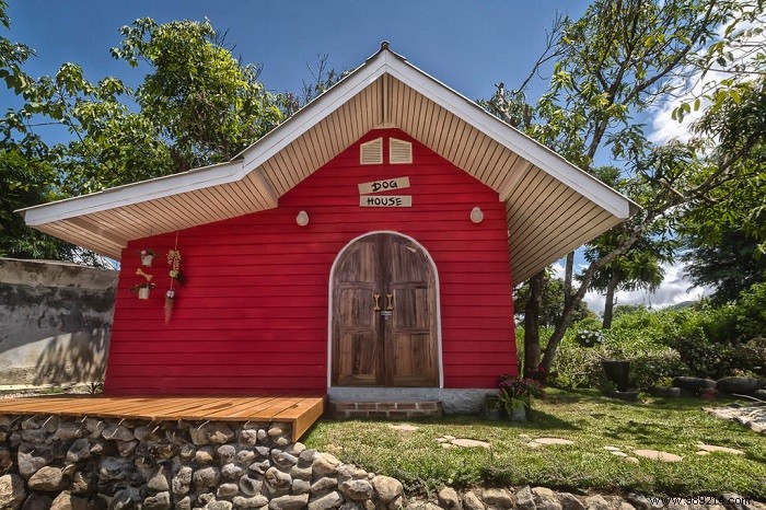 11 Stunning Dog Houses: Luxurious Backyard Retreats for Your Pet