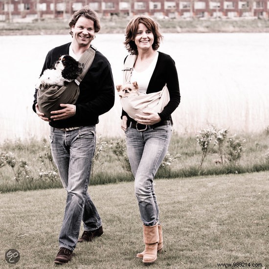 7 Essential Accessories for a Safe and Fun Holiday with Your Dog