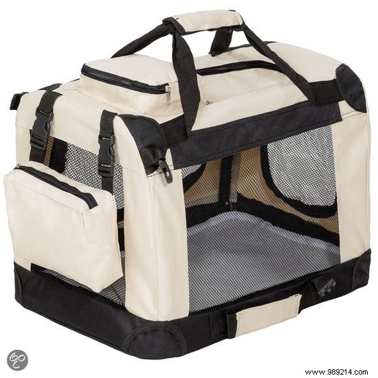 7 Essential Accessories for a Safe and Fun Holiday with Your Dog