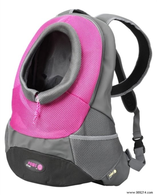 7 Essential Accessories for a Safe and Fun Holiday with Your Dog