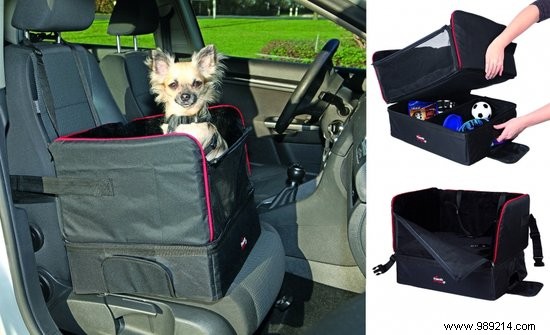 7 Essential Accessories for a Safe and Fun Holiday with Your Dog