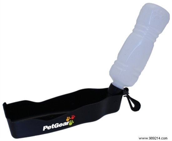 6 Must-Have Cooling Products to Keep Your Dog Safe in Summer Heat