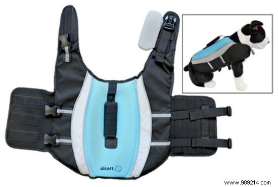 6 Must-Have Cooling Products to Keep Your Dog Safe in Summer Heat