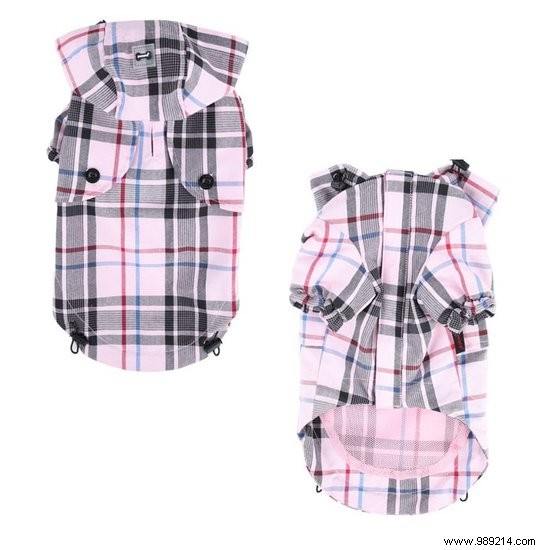 6 Stylish Dog Coats to Keep Your Pup Warm and Fashionable This Winter