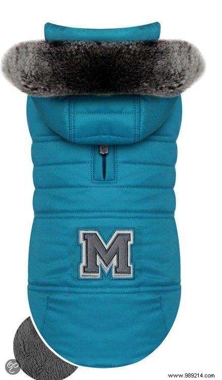 6 Stylish Dog Coats to Keep Your Pup Warm and Fashionable This Winter