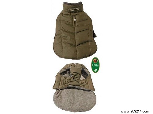 6 Stylish Dog Coats to Keep Your Pup Warm and Fashionable This Winter