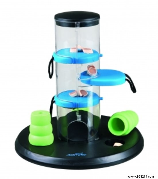 10 Thoughtful Gifts for Animal Day: Top Picks for Dogs and Cats