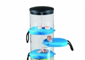 10 Thoughtful Gifts for Animal Day: Top Picks for Dogs and Cats