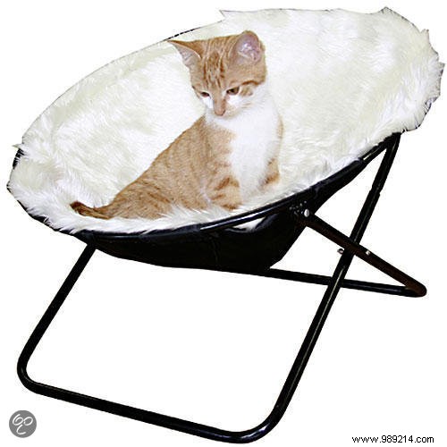 10 Thoughtful Gifts for Animal Day: Top Picks for Dogs and Cats