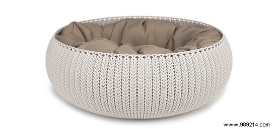 10 Thoughtful Gifts for Animal Day: Top Picks for Dogs and Cats