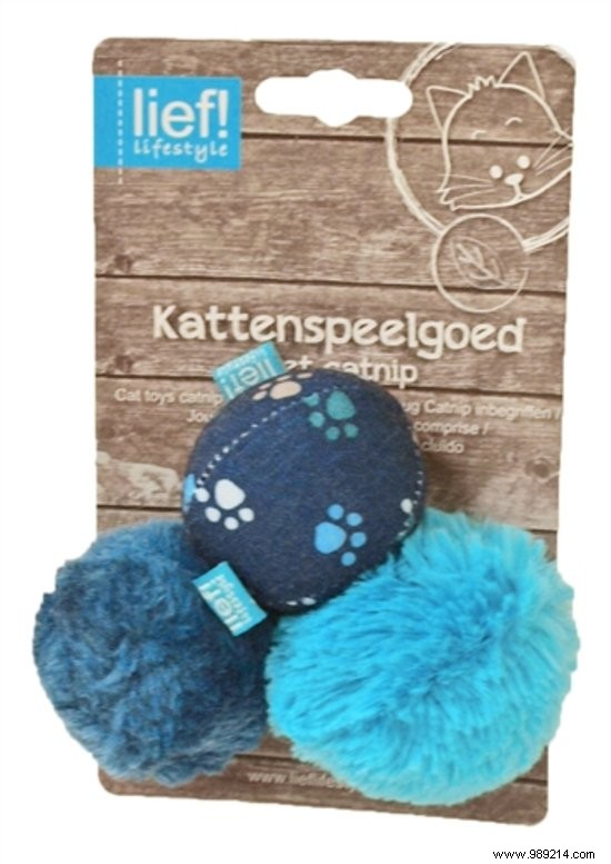 10 Thoughtful Gifts for Animal Day: Top Picks for Dogs and Cats