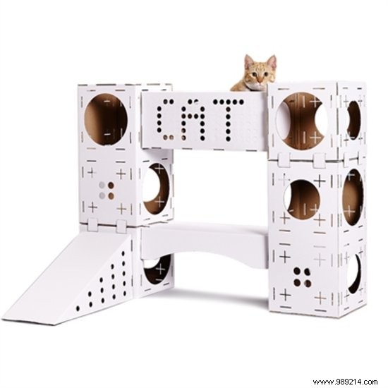 10 Thoughtful Gifts for Animal Day: Top Picks for Dogs and Cats