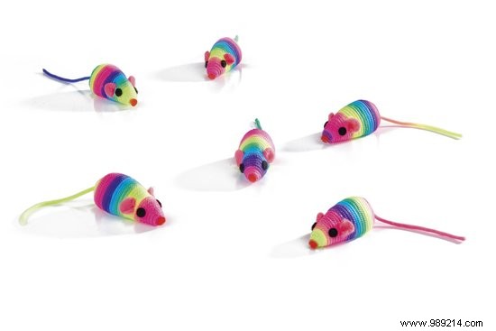 10 Thoughtful Gifts for Animal Day: Top Picks for Dogs and Cats