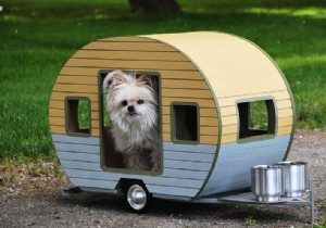 10 Adorable Mini RV Campers for Dogs: Charming Pet House Alternatives