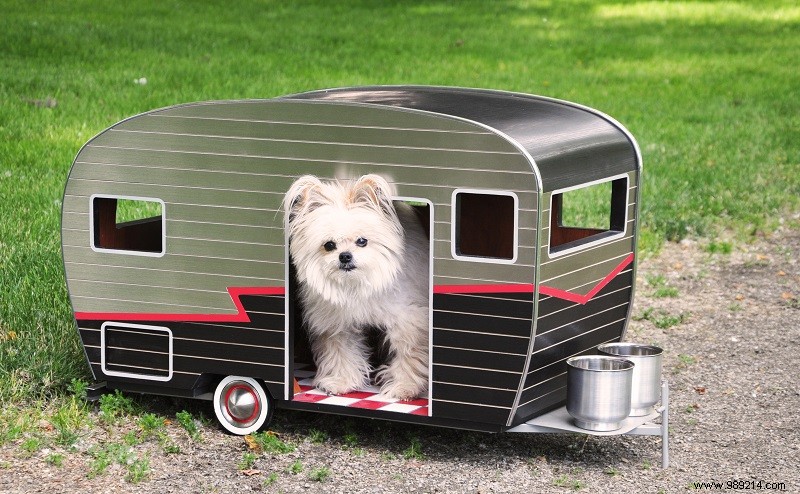 10 Adorable Mini RV Campers for Dogs: Charming Pet House Alternatives